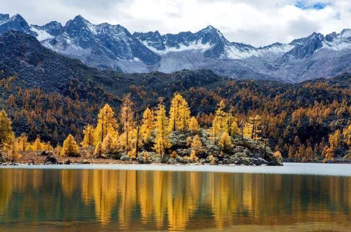 小红帽的冒险之旅